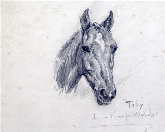 Lucy Kemp-Welch (1869-1958) Study of a horse Toby, 6.75 x 8.5in.